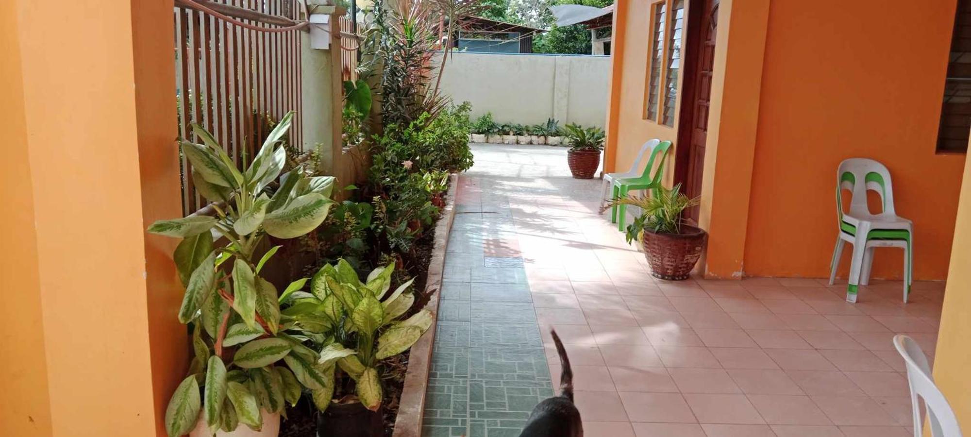 Jessa'S 5 Guests House Hotel Moalboal Bagian luar foto